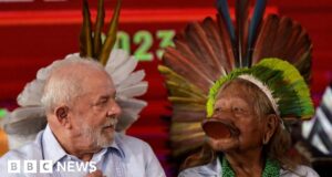 Brazil’s Lula recognises six new indigenous reserves