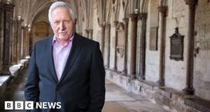 Richard Sharp: PM should not appoint BBC chair, says David Dimbleby