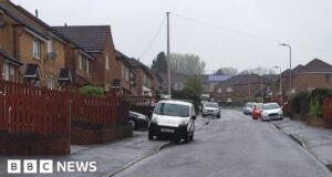 Caerphilly: Baby in hospital after dog attack