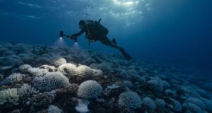 The oceans just reached their hottest temperature on record as El Niño looms. Here are 6 things to watch for