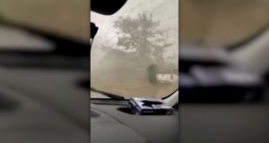Watch: Man rides out tornado inside van in Arkansas