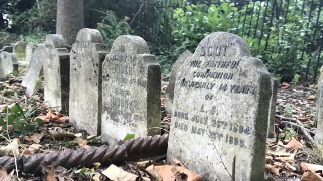230403122306-01-pet-cemeteries.jpg