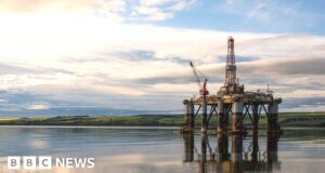 What is the windfall tax on oil and gas companies and how much do they pay?