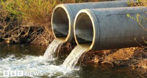Thames, Yorkshire and South West Water bosses refuse bonuses over sewage spill