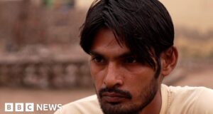 Deaths raise fresh fears over cow vigilantism in India