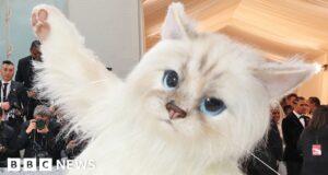 Quiz of the week: Who went to the Met Gala inside a cat outfit?