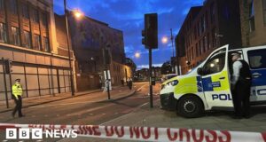 Woman stabbed to death in south London