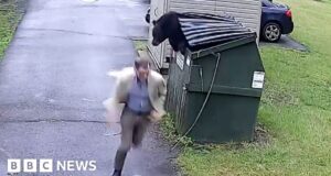 Watch: Hiding bear leaps from bin at US school