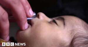 Afghanistan: ‘Nothing we can do but watch babies die’