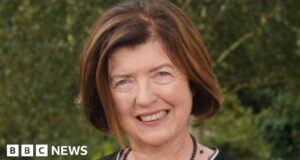 Sue Gray chose not to engage with Labour job inquiry, minister says