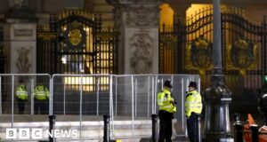 Man arrested outside Buckingham Palace