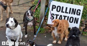 Chris Mason: What’s at stake in this week’s local elections?
