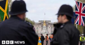 Man arrested at Buckingham Palace detained under Mental Health Act