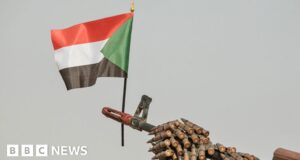 Sudan crisis: Mediators over a barrel in mission to end fighting