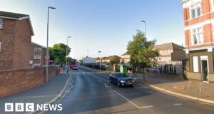 Boy, 16, fatally stabbed in Waltham Forest, London
