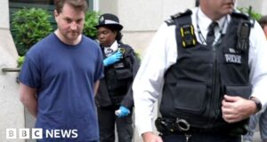Moment protester arrested near Trafalgar Square