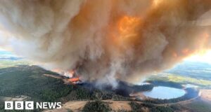 Canadian province of Alberta declares wildfire emergency