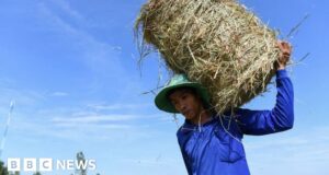 Climate change: Vietnam records highest-ever temperature of 44.1C