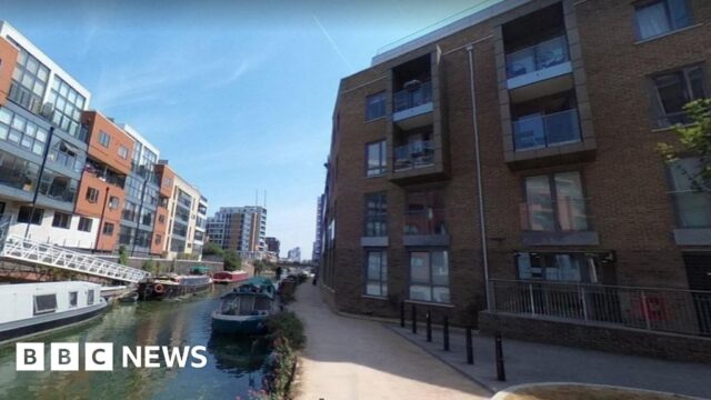 Met Police shoot dead two dogs and Taser man in Poplar