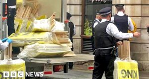 Met chief Mark Rowley defends officers over Coronation arrests