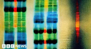Updated DNA map better reflects human diversity