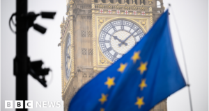 Brexit: Ministers to ditch deadline to scrap retained EU laws